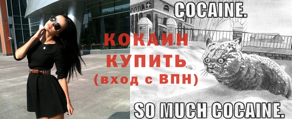 СК Абинск